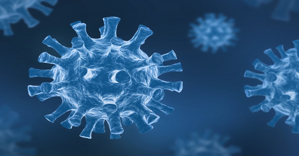 Bağışıklık Sistemi ve Koronavirüs